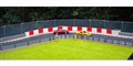 Slot Track Scenics A1-4 Tyres, covers and fencing pack