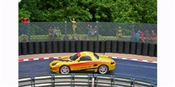 Slot Track Scenics FK2 Fence Kit with straight stanchions