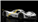 NSR0626 NSR Hypercar #67 silver