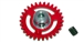 NSR 2006631 31T Extra Light AW PLASTIC Axle Gear 16mm For 2mm Axle
