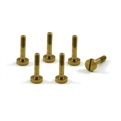 Scaleauto Special Large Head Screws for Suspension 9mm, 4.3mm head M2 (6x).
