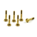 Scaleauto Special Large Head Screws for Suspension 13mm, 4.3mm head M2 (6x).